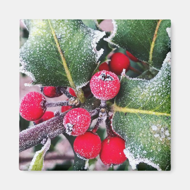 Imán Frosty Holly (Frente)