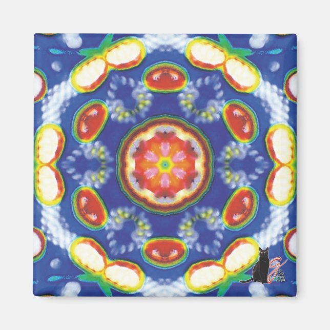 Imán Fruity Tooty Kaleidoscope Magnet (Frente)
