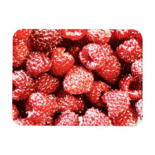 Imán "Fruta de frambuesa" Foto Cute. ¡Hazte con una en 