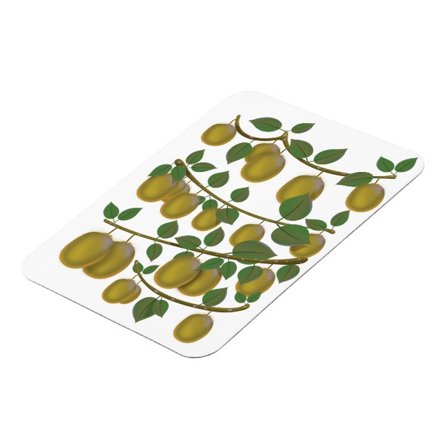 Imán Fruta de Kiwi (Lado Izquierdo)