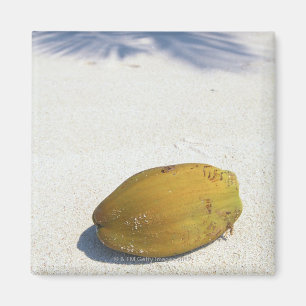 Imán Fruta de la palma