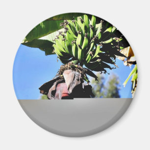 Imán Fruta de los plátanos