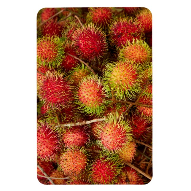 Imán Fruta de Rambutan en el mercado Can Duoc (Vertical)