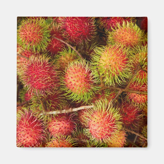 Imán Fruta de Rambután en el mercado de Cân Dước (Frente)