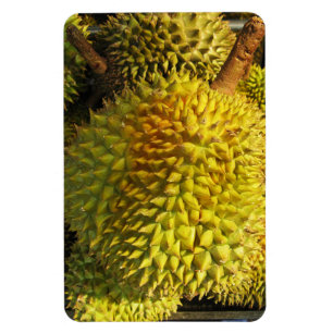 Imán Fruta duriana