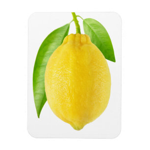 Imán Fruta limón