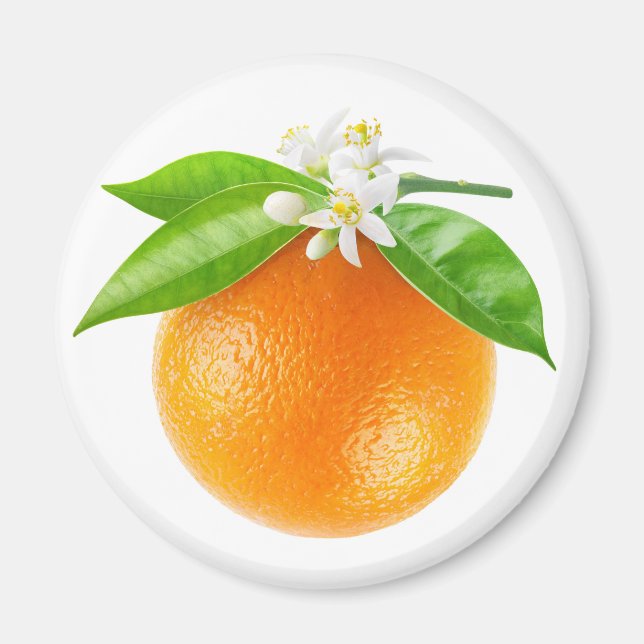 Imán fruta naranja y flores (Frente)