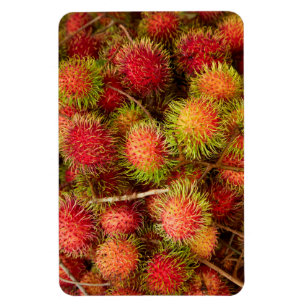 Imán Fruta Rambutan en el mercado Can Duoc