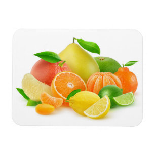 Imán Frutas de cítricos