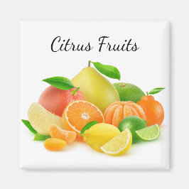 Imán Frutas de cítricos