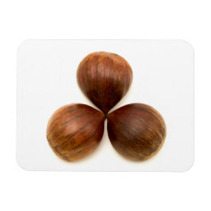 Imán Frutas dulces de castañas
