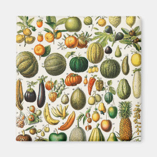 Imán Frutas y hortalizas