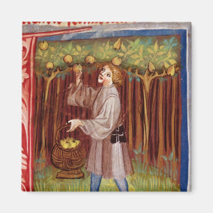 Imán Fruto de la cosecha