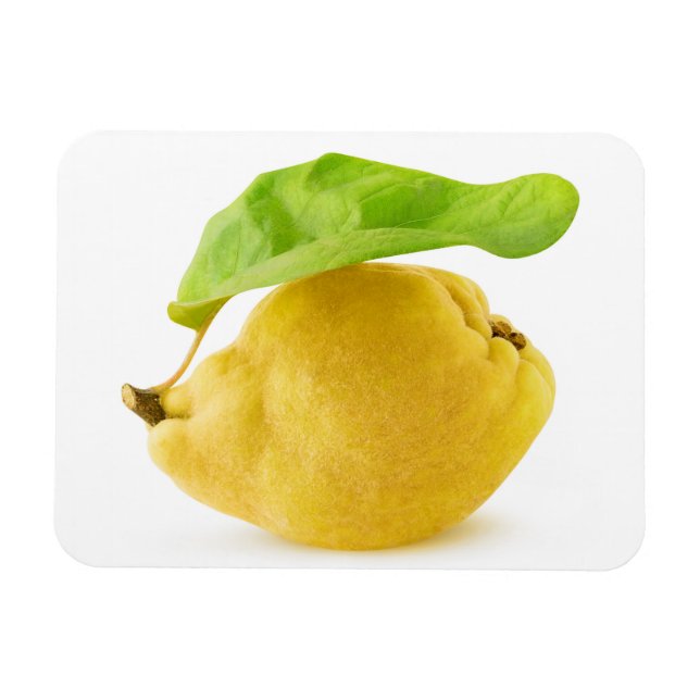 Imán Fruto de quinceañera (Horizontal)