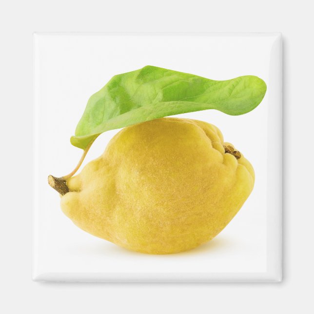 Imán Fruto de quinceañera (Frente)