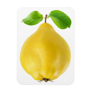 Imán Fruto de quinceañera