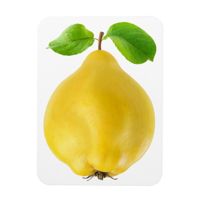 Imán Fruto de quinceañera (Vertical)