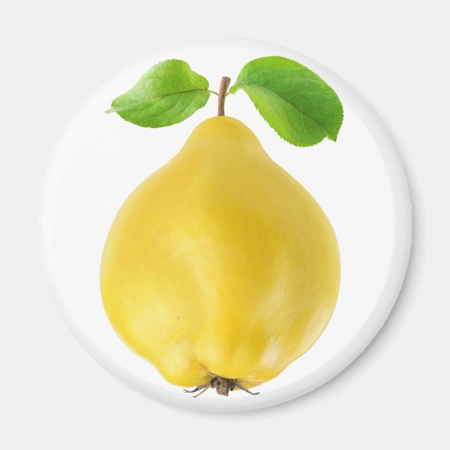 Imán Frutos de quinceañería (Frente)