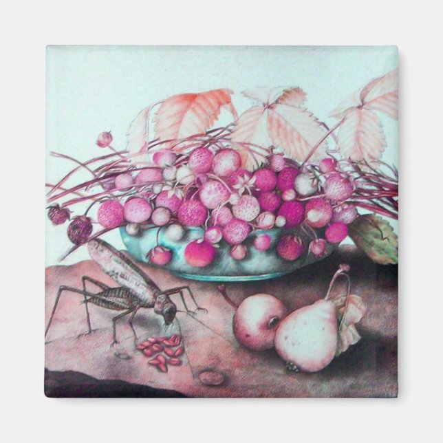 IMÁN FRUTOS DE TEMPORADA 3 (Frente)