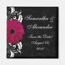 Imán Fuchsia Scroll Gerbera Daisy con negro y blanco