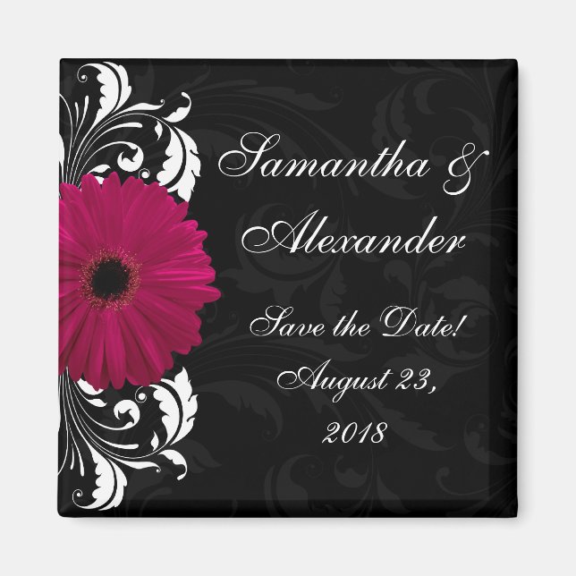 Imán Fuchsia Scroll Gerbera Daisy con negro y blanco (Frente)