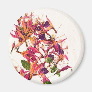 IMÁN FUCHSIAS I