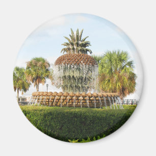 Imán Fuente de la piña del SC de Charleston, parque de
