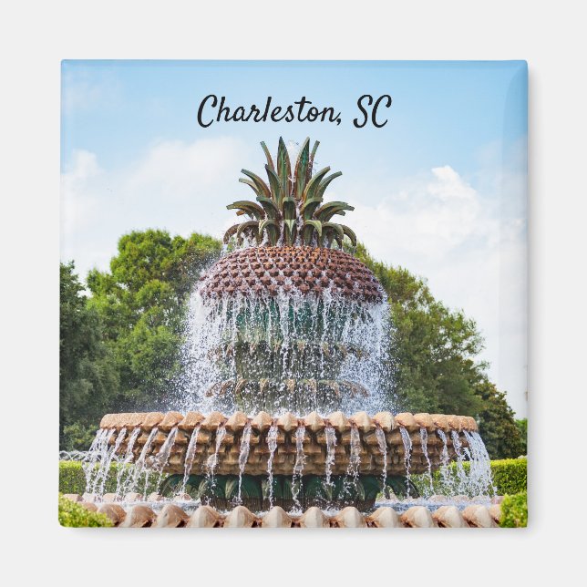 Imán Fuente de piña en Charleston, SC (Frente)
