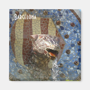 Imán Fuente del León