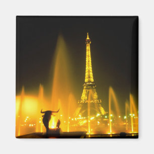 Imán Fuente en la mundialmente famosa Torre Eiffel Parí