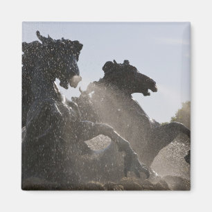 Imán Fuente, Monumento a los Girondinos, Burdeos,