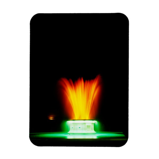 Imán Fuente Napier NZ (Vertical)