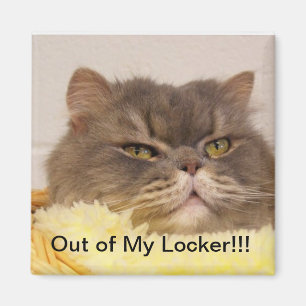 IMÁN FUERA DE LOCKER MAGNET