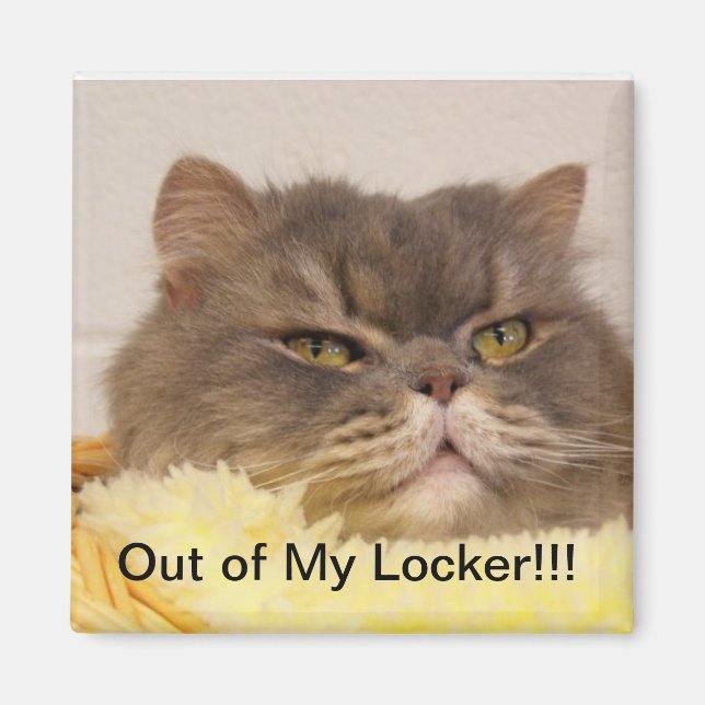 IMÁN FUERA DE LOCKER MAGNET (Frente)