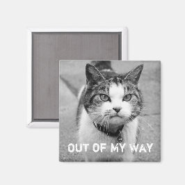 Imán "Fuera de mi camino" Crabby Cat Magnet