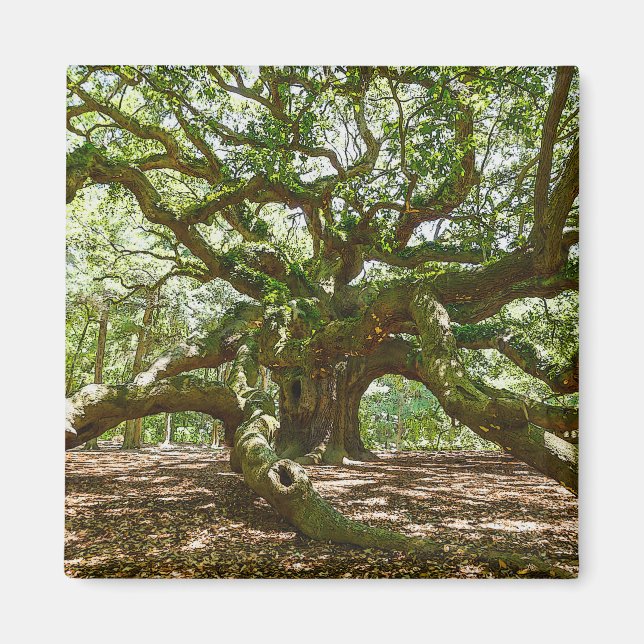 Imán Fuerte Y Audaz (Frente)