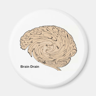 Imán Fuga de cerebros