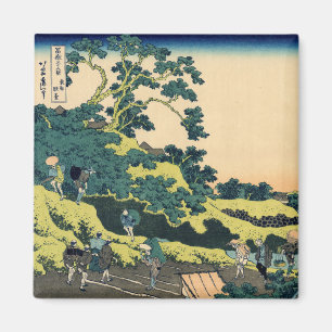 Imán Fuji del paso de Mishima