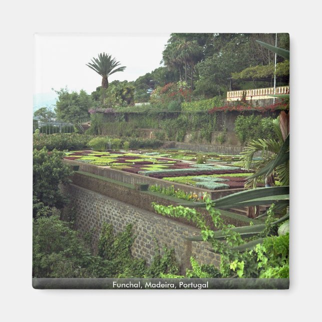 Imán Funchal, Madeira, Portugal (Frente)