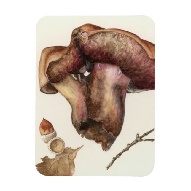Imán Fungus (Vertical)