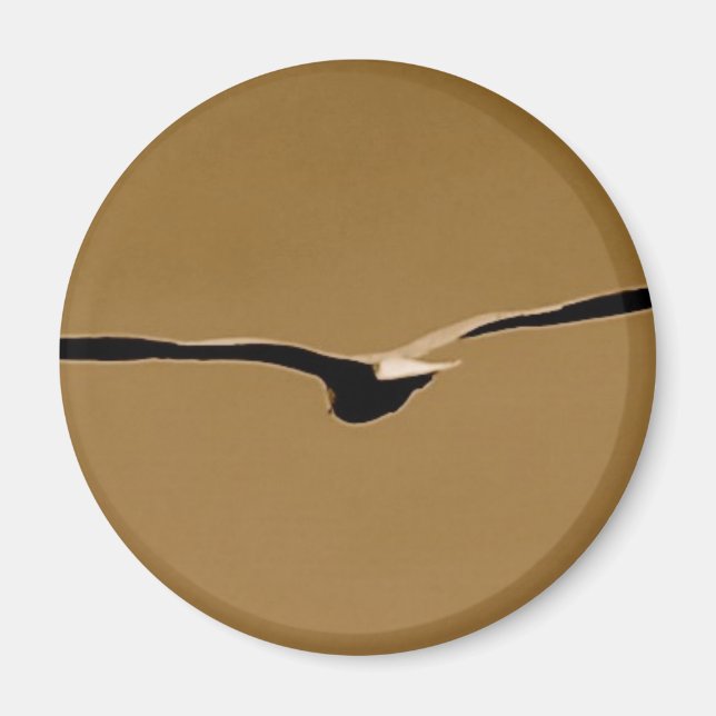 Imán Funky Wings Magnet (Frente)