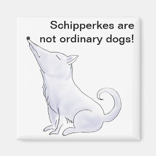 Imán Funny Aloof Schipperke Dog Personalizado