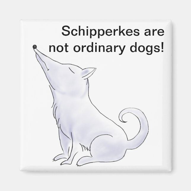 Imán Funny Aloof Schipperke Dog Personalizado (Frente)