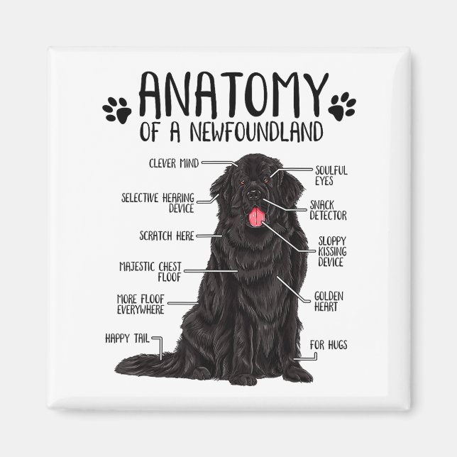 Imán Funny Anatomy Newfoundland Dog Cute Newfie Lover  (Frente)