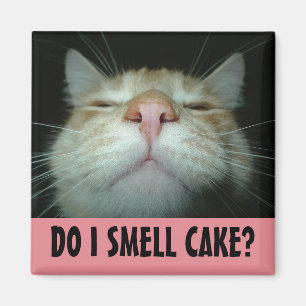 IMÁN FUNNY BIRTHDAY CAT FRIDGE MAGNETS