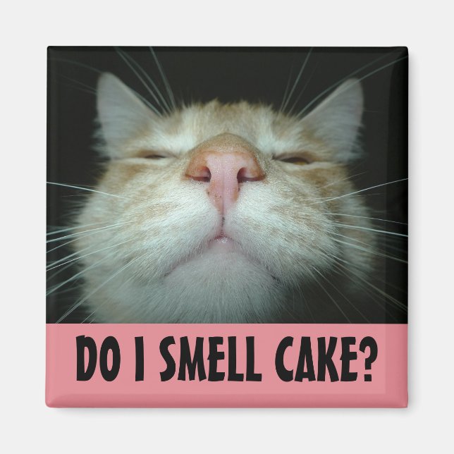 IMÁN FUNNY BIRTHDAY CAT FRIDGE MAGNETS (Frente)