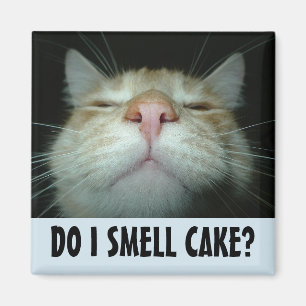 IMÁN FUNNY BIRTHDAY CAT FRIDGE MAGNETS