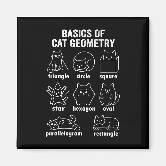 Imán Funny Bysics Of Cat Geometry Byck To School Math T (Frente)