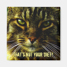 Imán Funny Cat Diet Guard