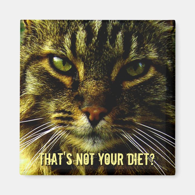 Imán Funny Cat Diet Guard (Frente)